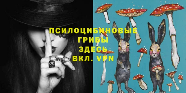первитин Лиски