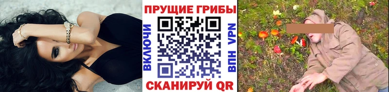 Псилоцибиновые грибы прущие грибы  darknet Telegram  omg ТОР  Менделеевск  наркошоп 